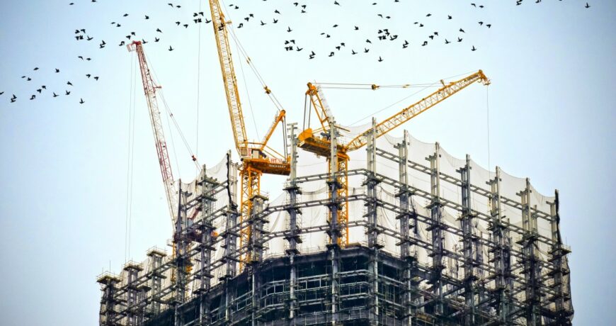 construction_crane_bird_architecture_urban-103364